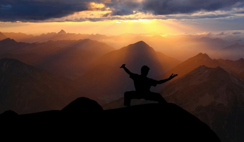 Tai Chi Silhouette